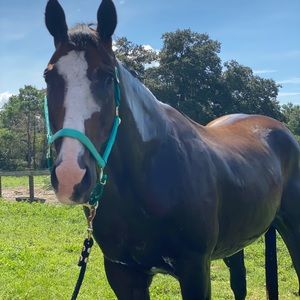 Meet your Posher, Brittany